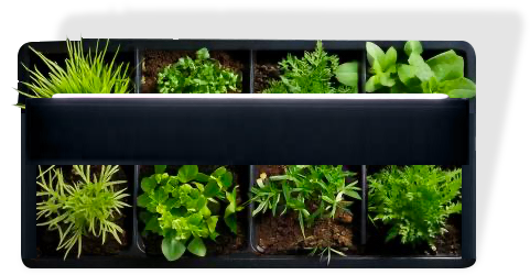 Petit potager autonome