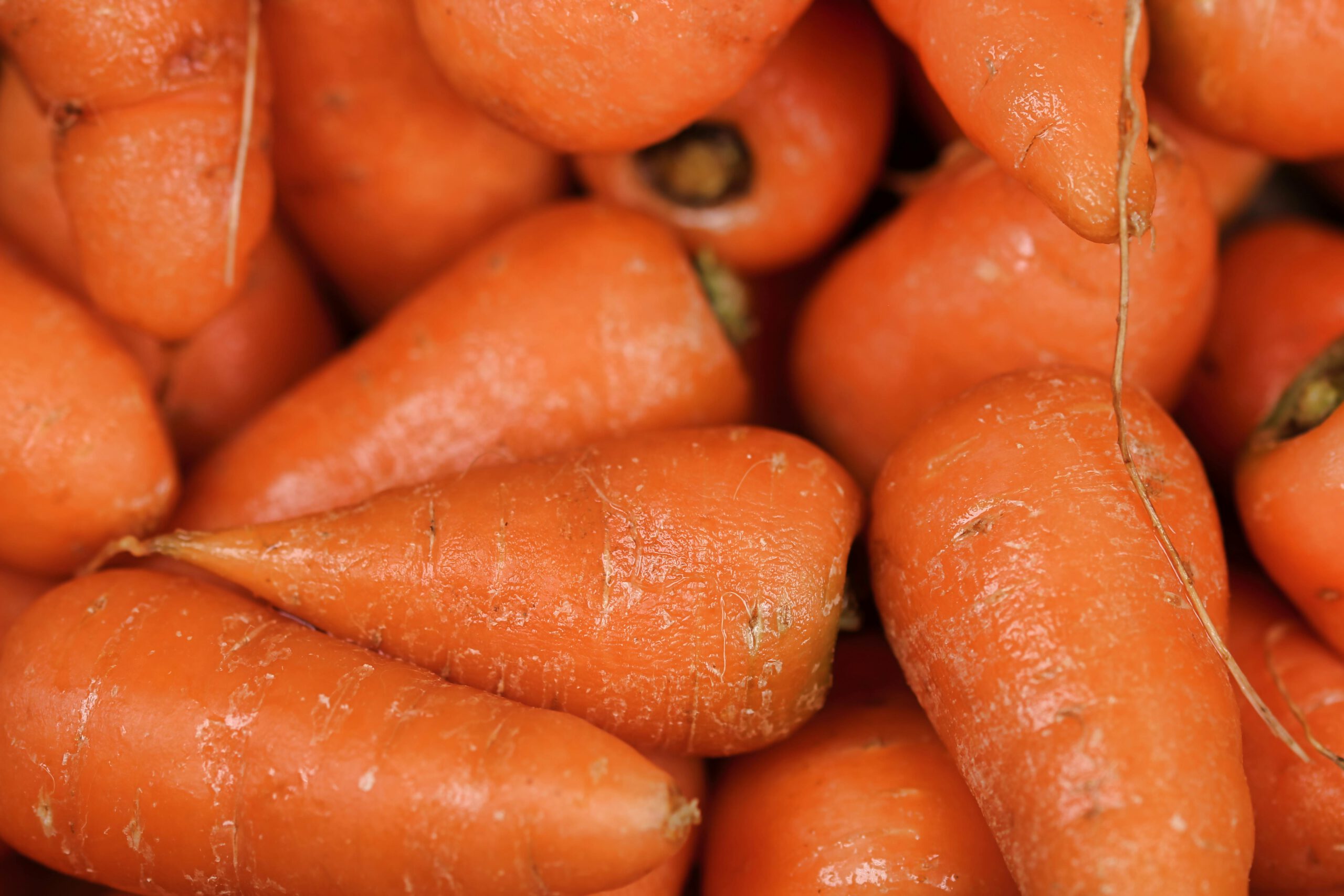 Baby carottes