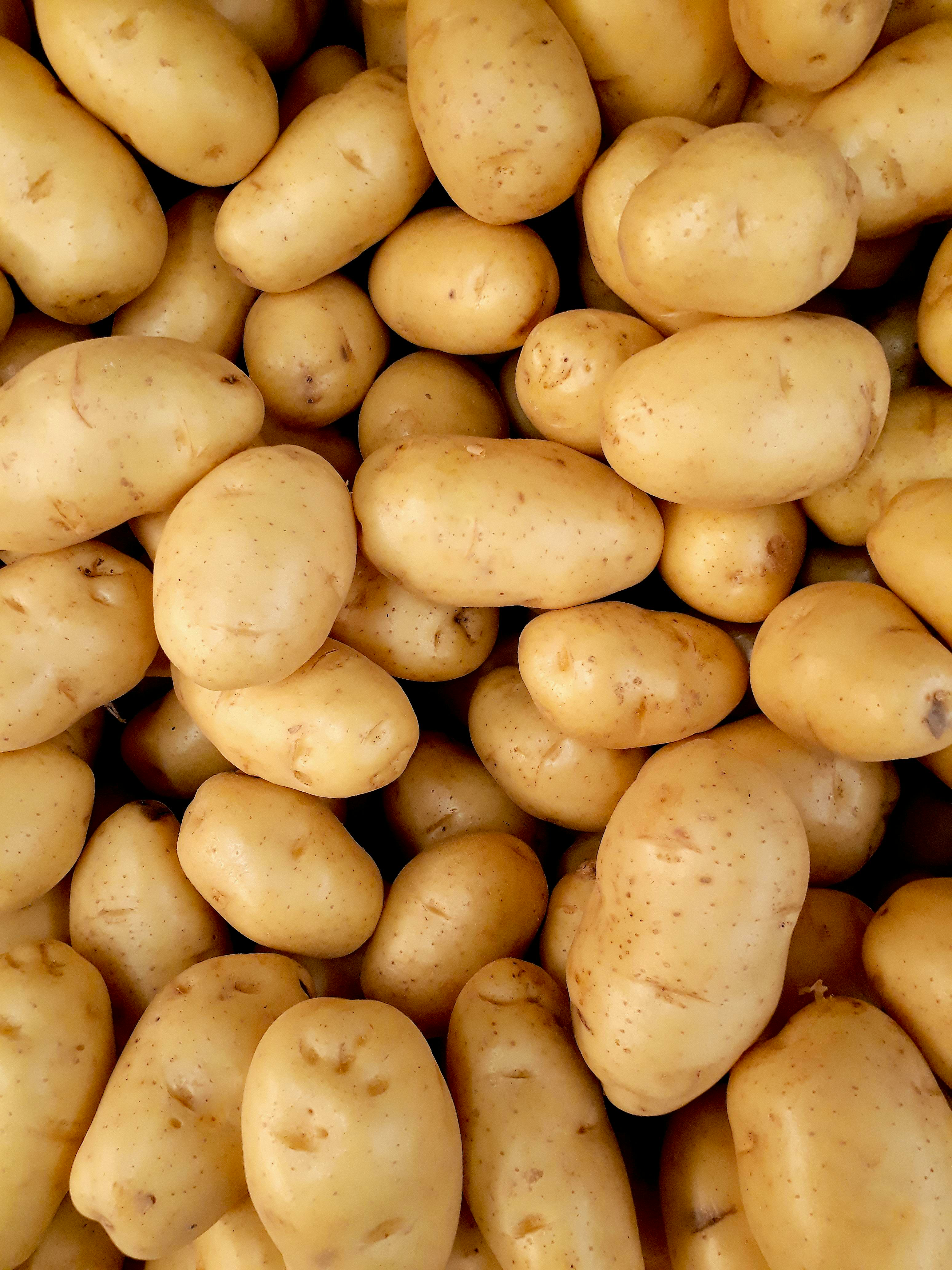 Patates grenailles